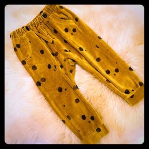 Amazing velvet spotted toddler drawstring pants